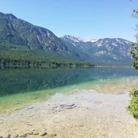 Apartment Mlakar Bohinj Εξωτερικό φωτογραφία