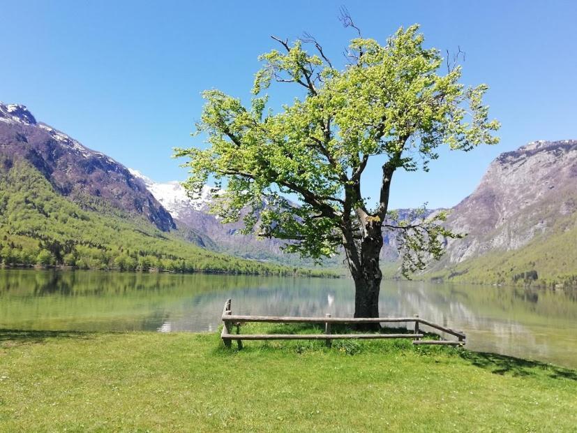 Apartment Mlakar Bohinj Εξωτερικό φωτογραφία