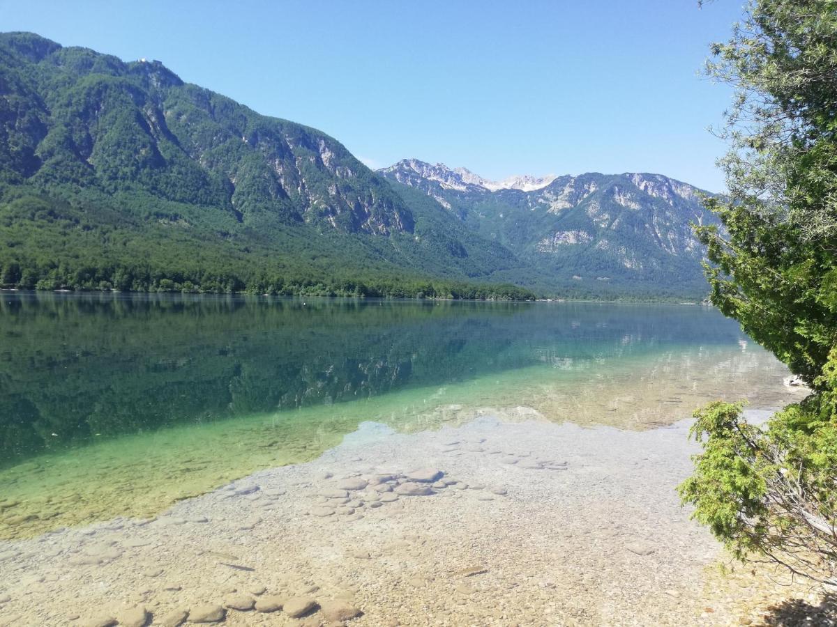 Apartment Mlakar Bohinj Εξωτερικό φωτογραφία