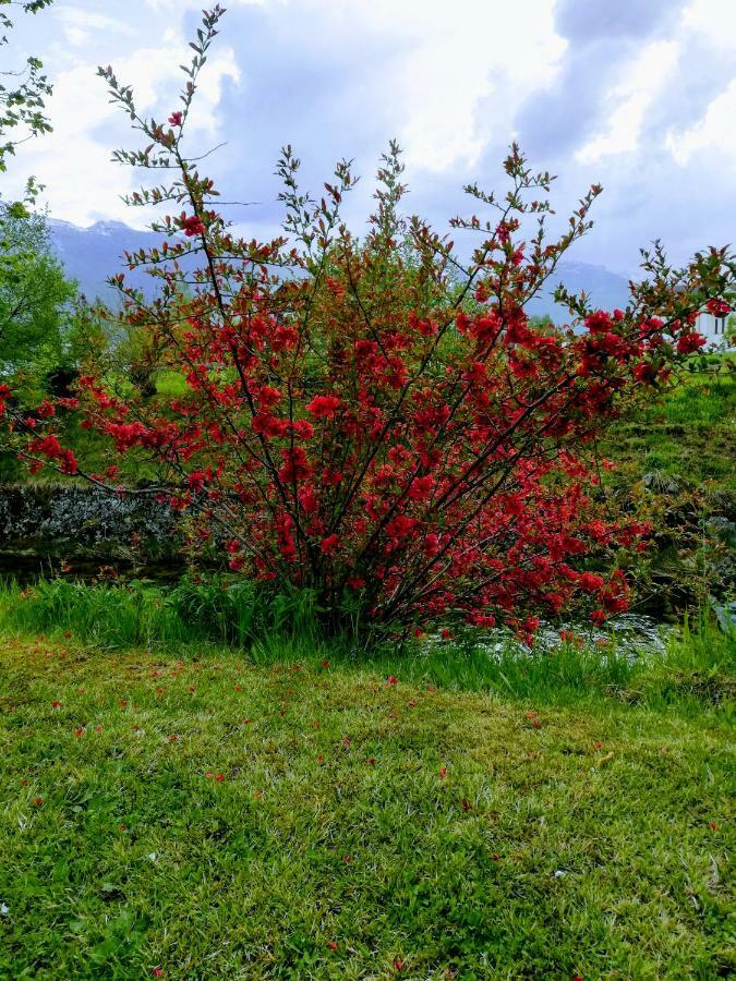 Apartment Mlakar Bohinj Εξωτερικό φωτογραφία
