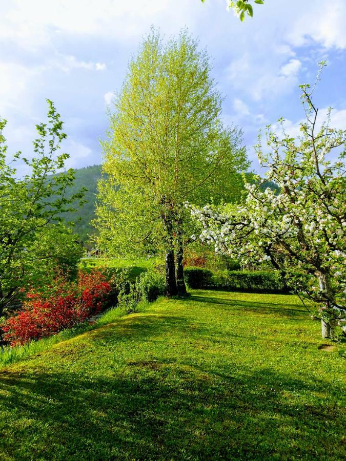 Apartment Mlakar Bohinj Εξωτερικό φωτογραφία