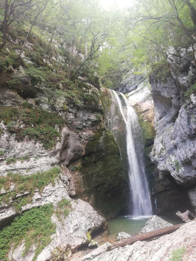Apartment Mlakar Bohinj Εξωτερικό φωτογραφία