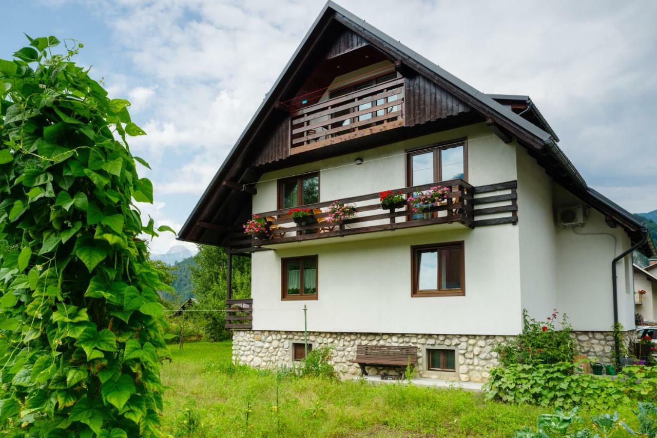 Apartment Mlakar Bohinj Εξωτερικό φωτογραφία